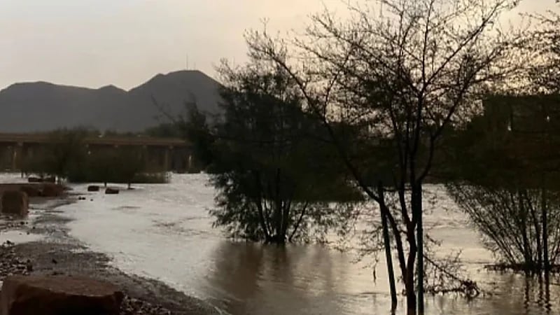 مقطع فيديو موثق لجريان سيل وادي العقيق التاريخي