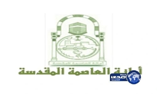 لجنة فنية لفحص تلفيات طائرة ياسمين عبدالعزيز