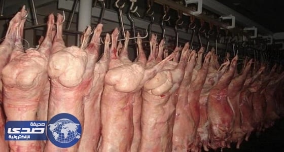 أسعار موحدة لذبح الأغنام بتبوك