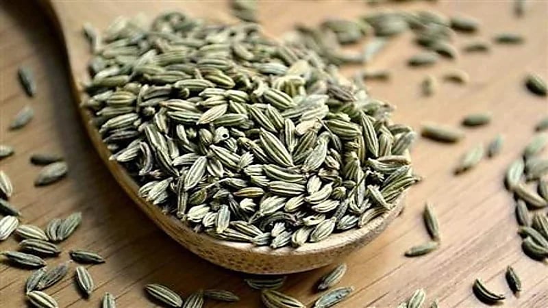 "الشمر" يكافح السرطانات ويساعد على خسارة الوزن