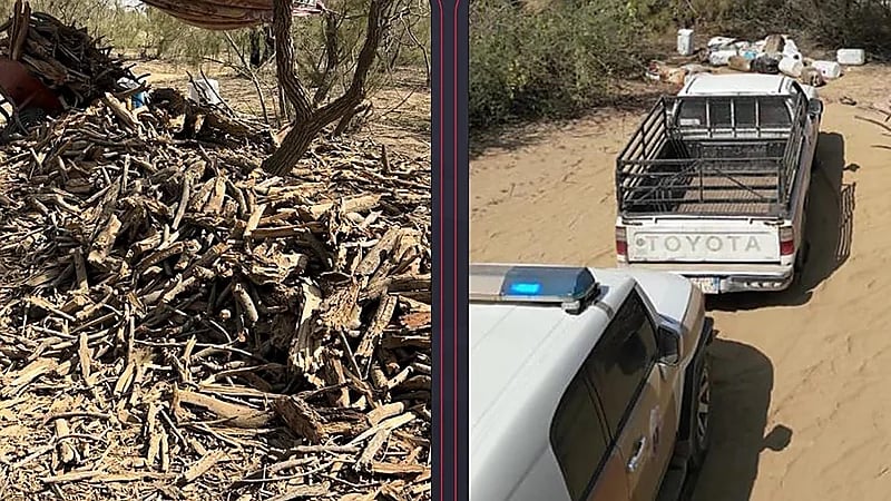 ضبط 6 مخالفين لنظام البيئة بمكة المكرمة .. فيديو