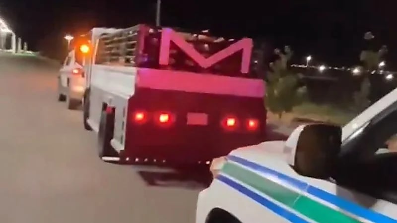 ضبط مخالف لنظام البيئة بحوزته حطب محلي معروض للبيع