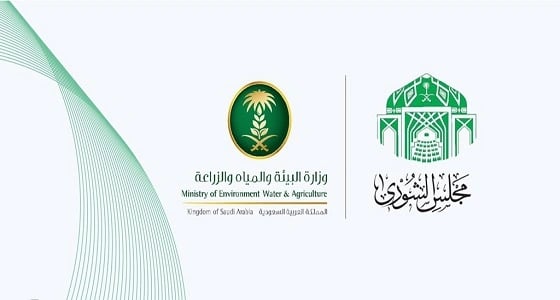 عضو شورى يفتح ملف إعادة تأهيل السدود.. وتساؤل عن هدر المياه