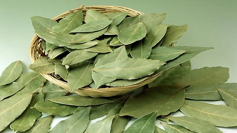 فوائد " ورق الغار " لمرضى السكري