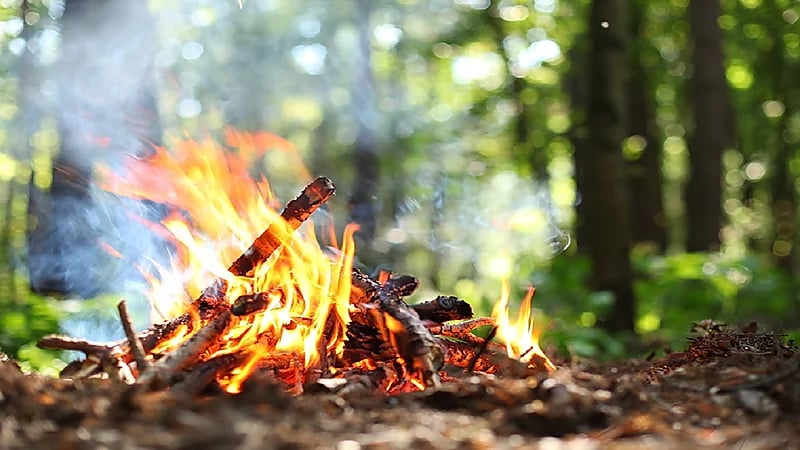 ضبط مواطنًا لإشعاله النار في محمية الملك عبدالعزيز الملكية