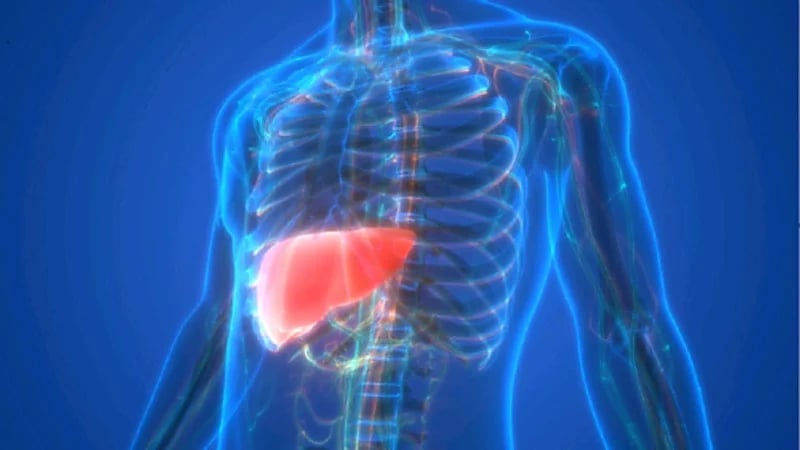 7 عادات يومية شائعة قد تدمر الكبد