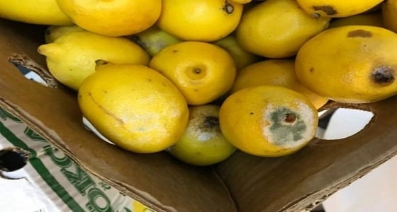 بالصور.. إغلاق 3 محلات وضبط مواد غذائية تالفة في " بني مالك "