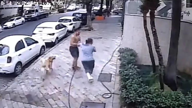 شاهد .. مناصر للبيئة يهاجم عاملة نظافة كانت تغسل الرصيف بالماء