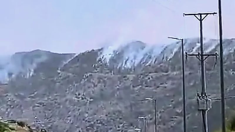 نيران تلتهم غابات المندق والقلق يتصاعد.. فيديو