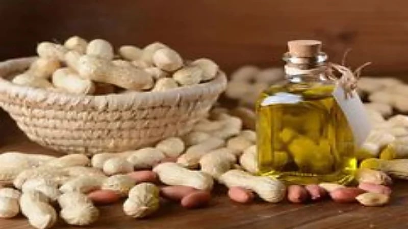 الزيوت الأفضل لتحضير الوجبات