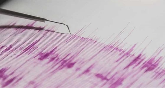 زلزال بقوة 4.7 درجة على مقياس ريختر يضرب جنوب المكسيك