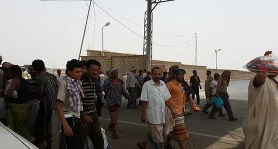 بالفيديو.. كارثة تهدد الاقتصاد اليمني بسبب الانقلابيين