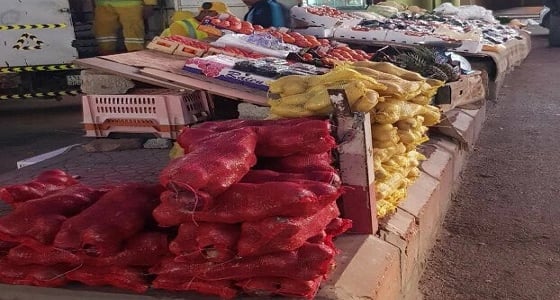 مصادرة 24 مبسطا مخالفا بحي الروضة