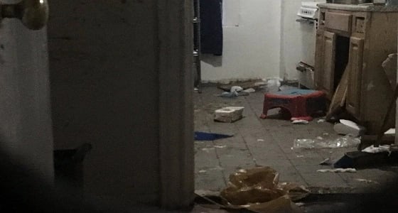 محاكمة والدين عثر على طفلهما وسط الفئران