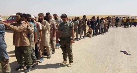 عشرات الحوثيون يسلمون انفسهم إلى الجيش الوطني اليمني