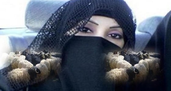 تغريدة فتاة تلاحقها الخرفان من 40 متابع إلى 35 ألف في ساعتين