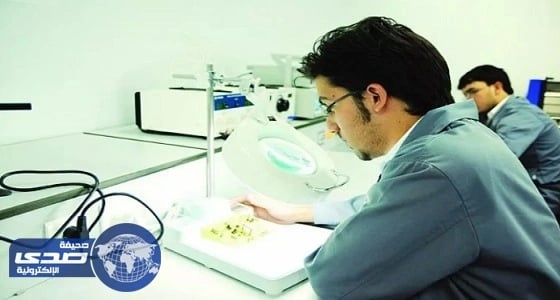 مركز متخصص لتأهيل المواطنين في إنشاءات حقول الغاز والبترول