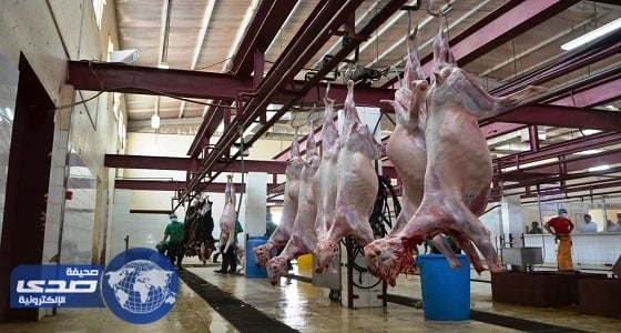 تفاصيل خطة أمانة الرياض لمتابعة المسالخ في شهر رمضان