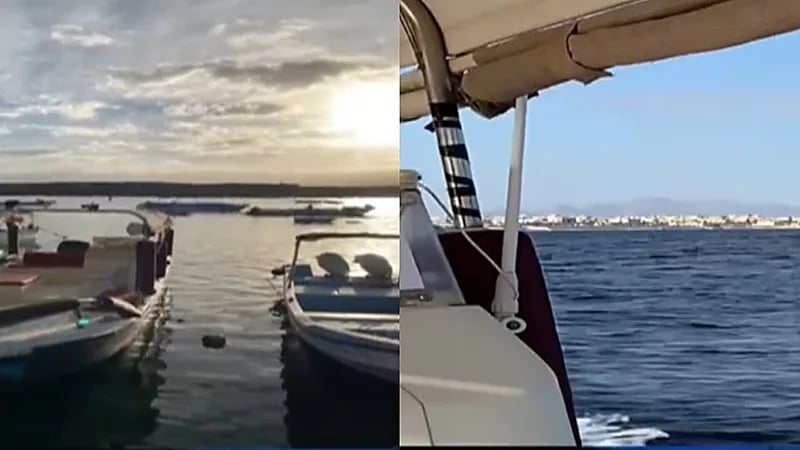 سحر الطبيعة بضفاف مدينة الوجه في قلب البحر الأحمر يمتدّ من عمق البحر إلى عمق القلب.. فيديو