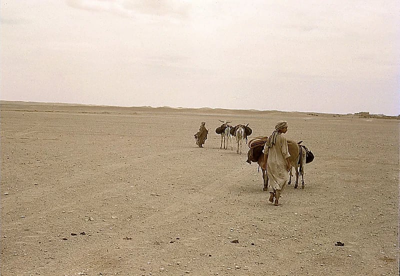 صورة قديمة من بادية نجد