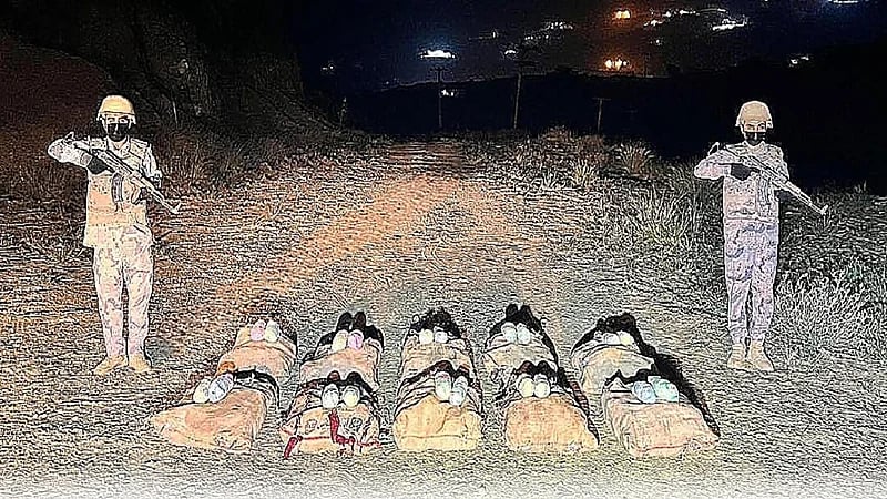 احباط تهريب 175 كيلوجرامًا من نبات القات المخدر