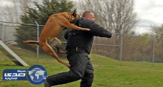 عضة كلب ترسله للقبر وفي طريق الجنازة تحدث المعجزة