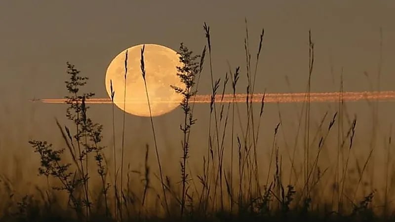 فلكية جدة تكشف موعد رصد "قمر الحصاد"