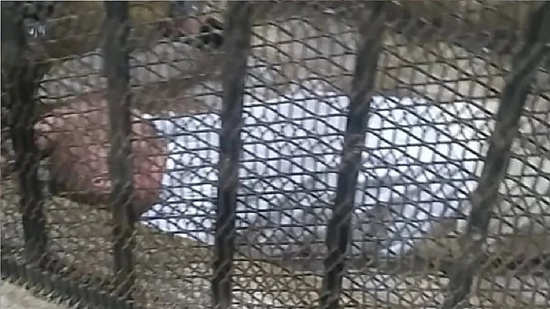 إغماء إمام مسجد حُكم عليه بالمؤبد بعد هتكه عرض طفلة