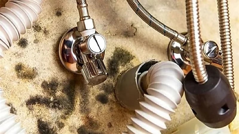 أماكن يختبئ فيها العفن داخل المطبخ