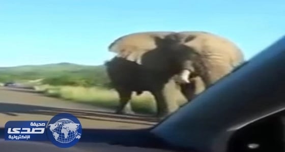 " جامعة أم القرى " تنفي وجود خصم 20 ريالاً من مكافآت الطلبة