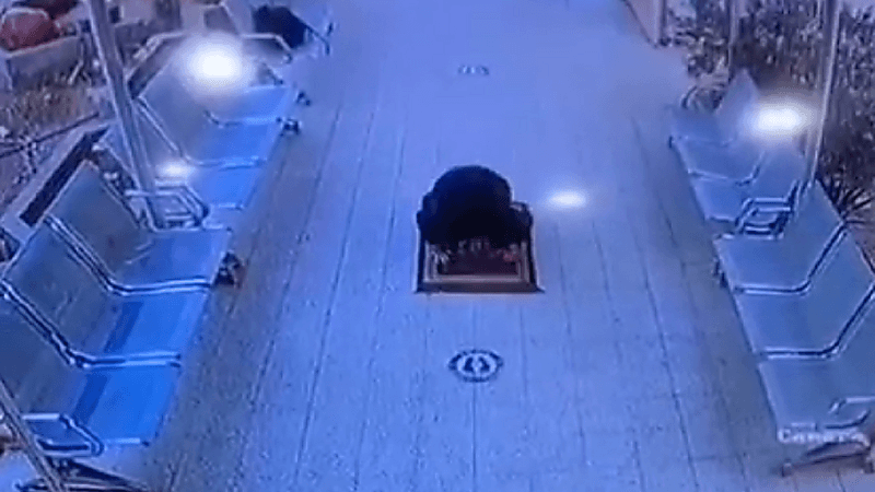 بالفيديو.. طالب يسجد شكرًا لله بعد العودة الحضورية في حائل