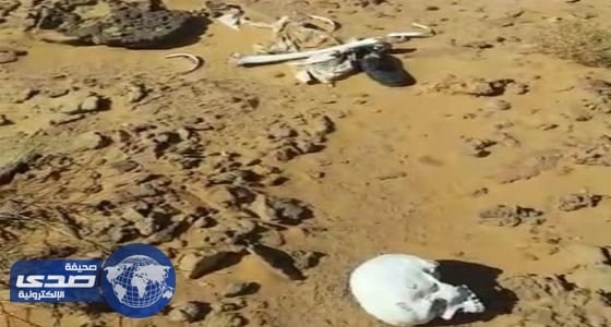 بالفيديو.. المرور تقدم الشكر لقائدي المركبات على الالتزام بقواعد السير