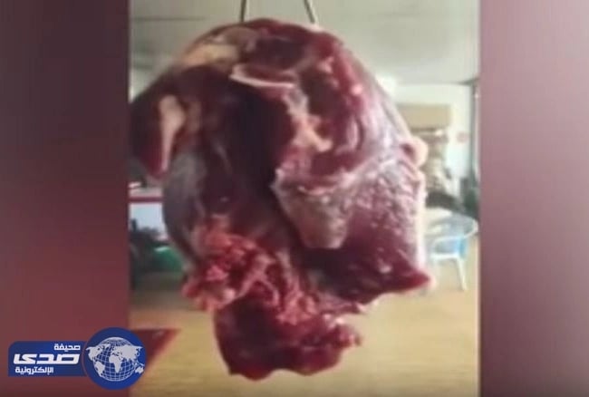 بالفيديو.. جزار يبيع لحمًا تدب فيه الروح