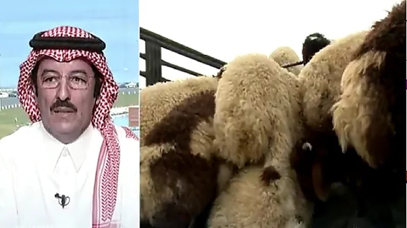 بالفيديو .. مالك مواشي : تناقص إنتاج المواشي رفع الأسعار وقد تشح في الأشهر القادمة