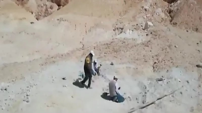 بالفيديو .. إطلاق مشروع المسح الجيولوجي في المملكة خلال أسابيع