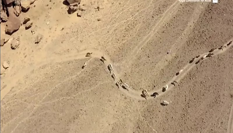 شاهد.. تسجيل محمية حرة عويرض ضمن برنامج الإنسان والمحيط الحيوي في اليونسكو