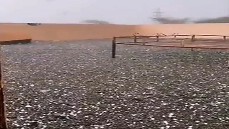 شاهد.. تساقط حبات البرد الكثيفة بغرب العيص 