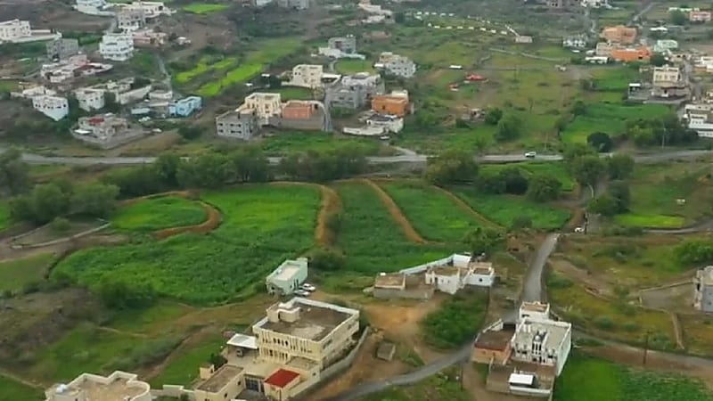 فيديو..الخضرة تكسو مركز قنا بعد الأمطار الغزيرة في محايل عسير