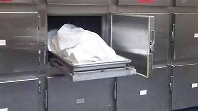 مقتل ربة منزل ونجلها داخل منزلهما 