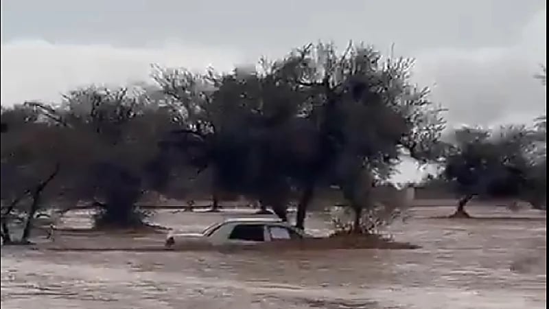 بالفيديو.. سيارة عالقة في سيول مشار القوية بحائل