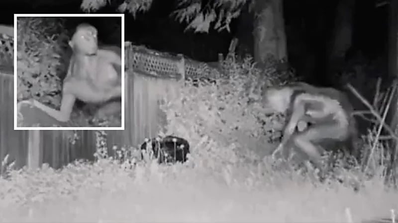 ظهور كائنات فضائية في أمريكا يثير السخرية.. فيديو