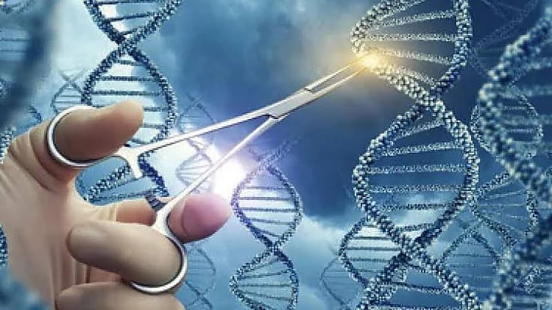 استشاري: العلاج الجيني الجديد سيحدث فارقًا لمريض فقر الدم المنجلي .. فيديو