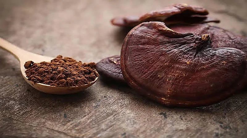 أخصائي تغذية علاجية: تأثير الفطر الريشي معجزة على الإنسان..فيديو