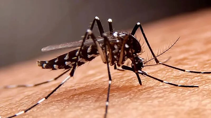 طبيب يحذر من مرض خطير يهدد الأردن