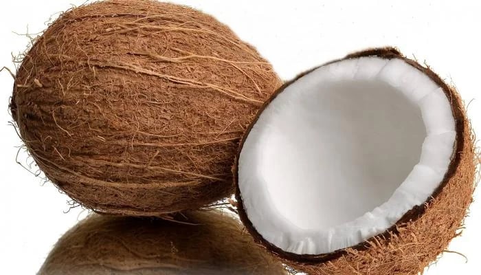 لب فاكهة جوز الهند الاستوائية محظور علي الطائرات