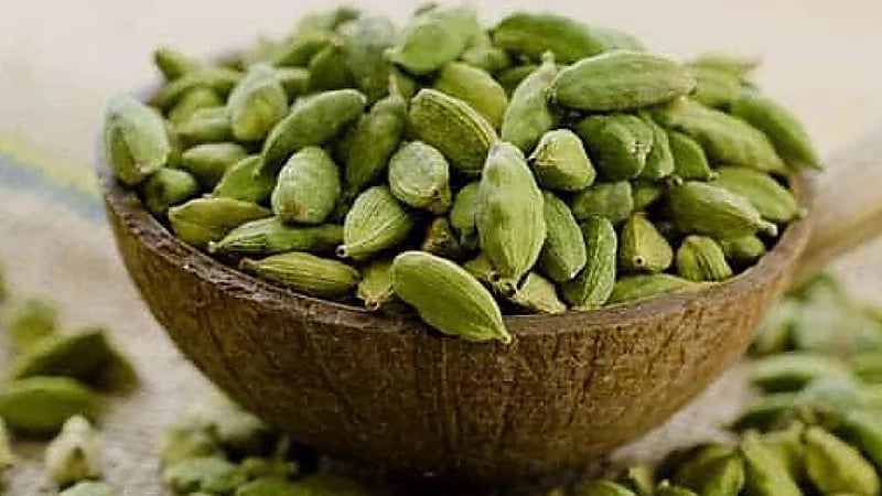 فوائد الهيل المذهلة لـ الصحة النفسية والجسدية .. فيديو