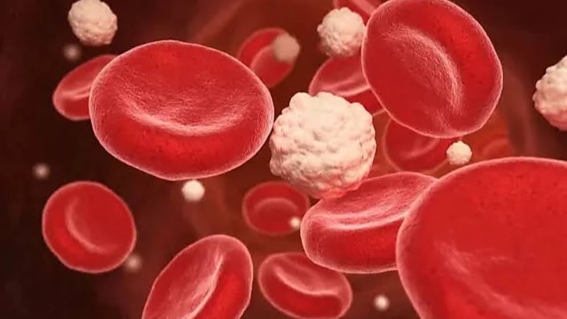 اكتشاف خلايا دهنية في البطن تساعد في حل لغز السمنة ومقاومة الأنسولين