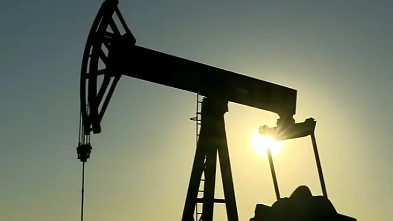 خبير مالي يوضح سبب استمرار شركة كيان في تسجيل خسائر ..فيديو