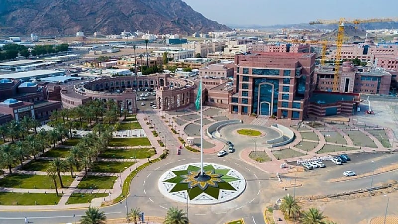 جامعة طيبة تفتح باب القبول لبرامج الدراسات العليا