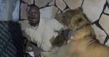 ليبي يطلق أسدًا على عماله داخل مزرعته .. فيديو